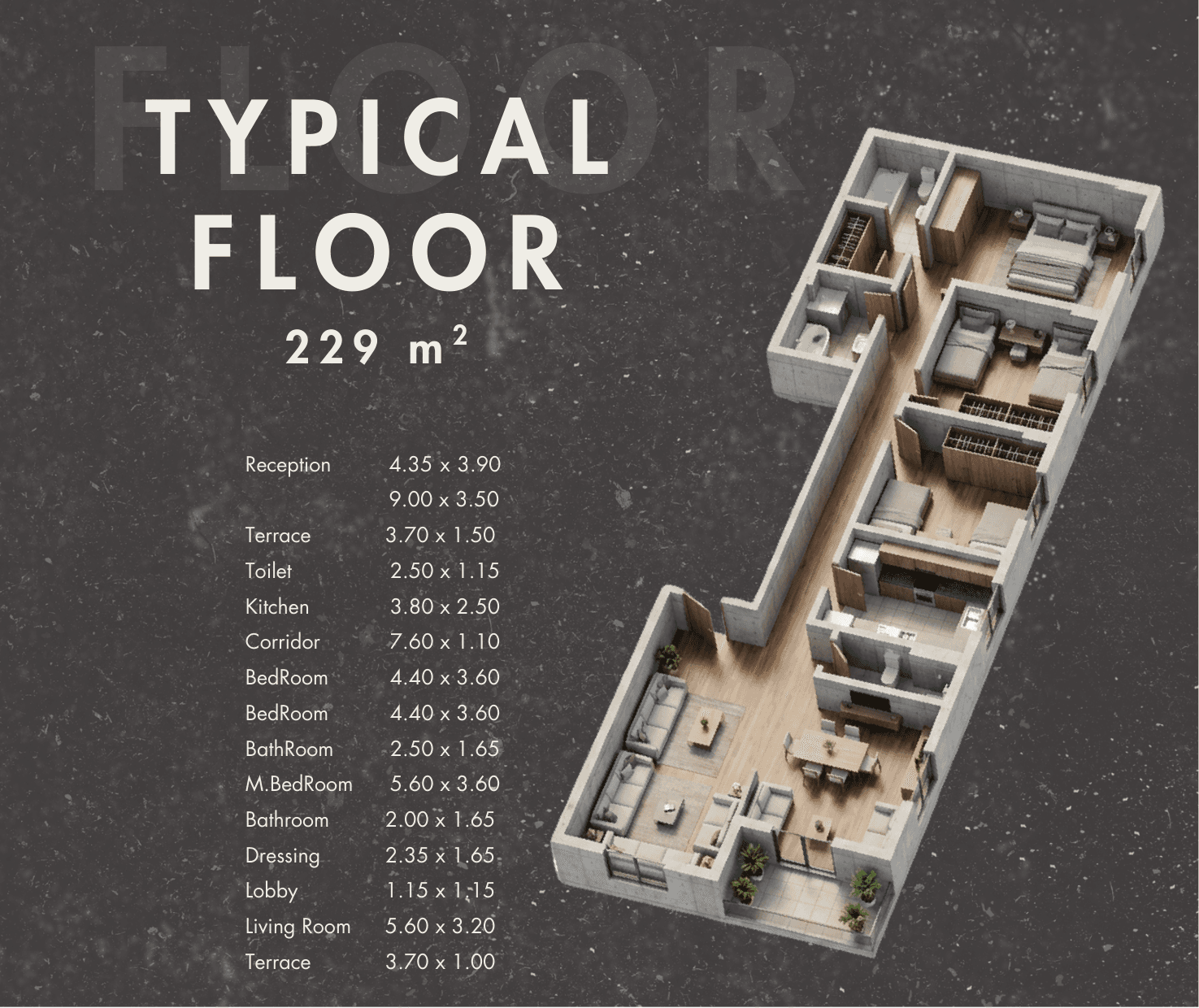 D17 Typical Floor